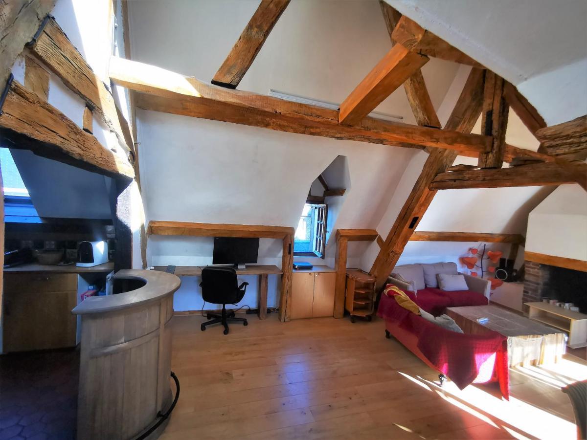 Les Toits De Rouen ✧ Atypique Et Familial Apartment Ngoại thất bức ảnh